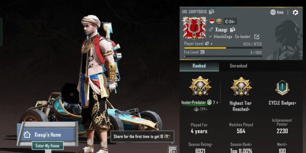 Gambar Product CHEAP PUBG Account 20 SKIN & ACE MASTER
