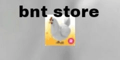 Product Showcase
