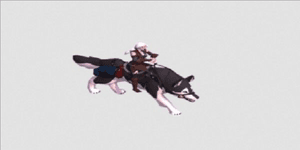 Snow Husky (SERVER EAST)