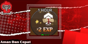 2x EXP Boost 1 Hour