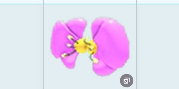 Gambar Product Flower Wings from Regal Wing Chest Robux