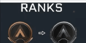 Rookie to Bronze