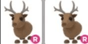 product-image-0