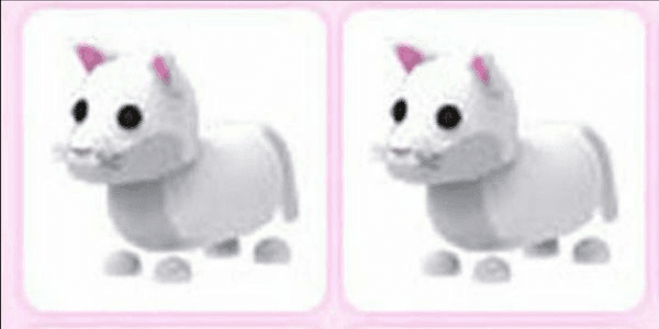 Gambar Product Normal Snow Puma (Rare) Pet Adopt Me