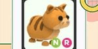 product-image-0
