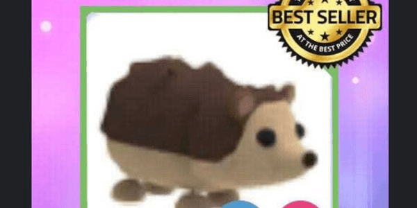 Gambar Product FR Hedgehog