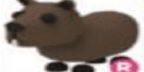 Gambar Product CAPYBARA R