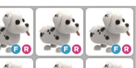Gambar Product FR Dalmatian