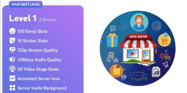 Product Showcase