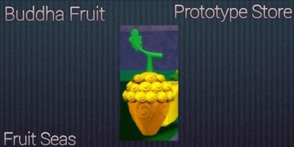Product Showcase