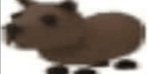 product-image-0
