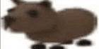 product-image-0