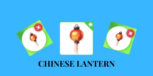 Gambar Product RARE | Chinese Lantern