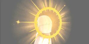 Solarix Halo Tidalglow 2023 - Royalhigh