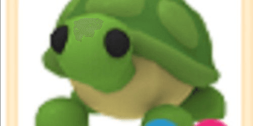 Gambar Product FR Turtle