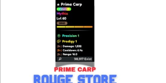 Product Showcase