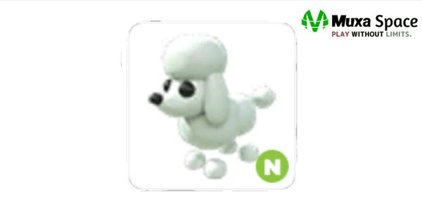 Gambar Product Poodle N - Adopt Me!