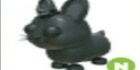 product-image-0