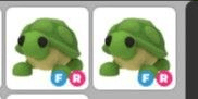 Gambar Product Turtle FR - Adopt Me
