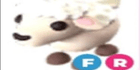 product-image-0