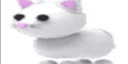 product-image-0