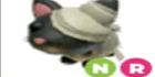 product-image-0