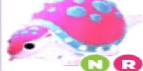 product-image-0