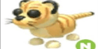 product-image-0