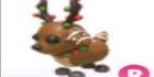 product-image-0