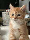 seller-image