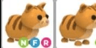 product-image-0