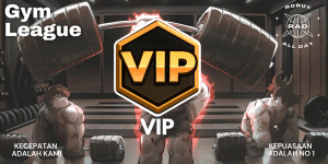 VIP - Gym League