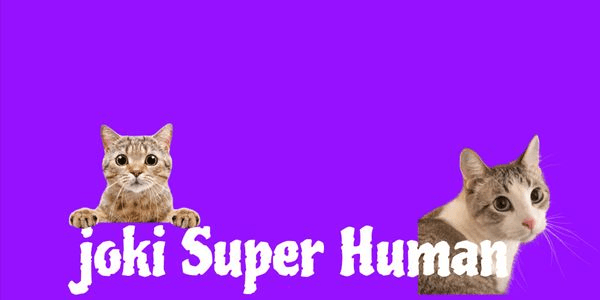Gambar Product Fighting Style - Superhuman