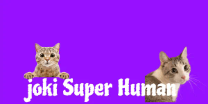 Fighting Style - Superhuman