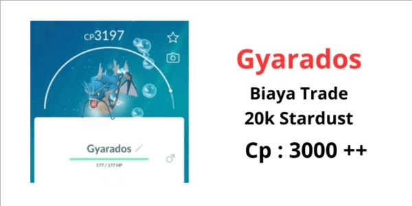 Gambar Product Gyarados