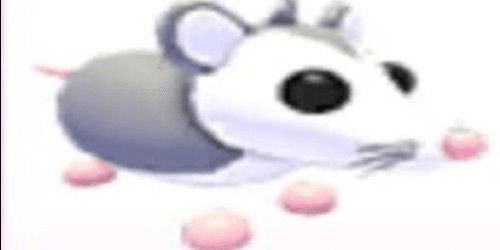 product-image-0