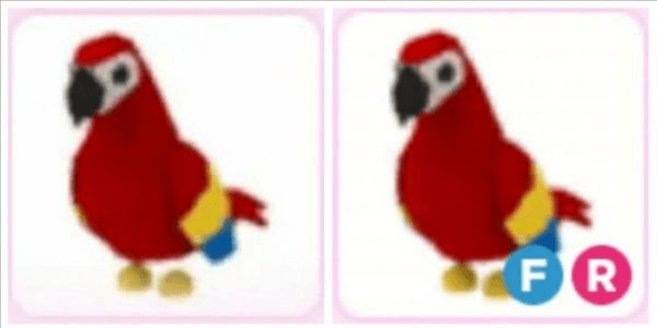 Gambar Product Pet FR Parrot Adopt Me Roblox
