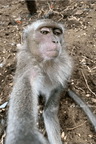 seller-image