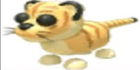 product-image-0