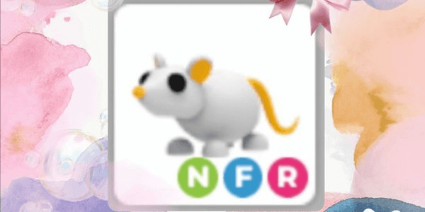 Gambar Product Golden Rat NFR