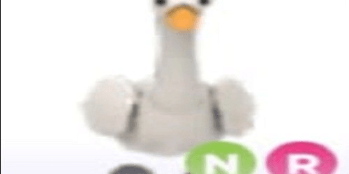 product-image-0