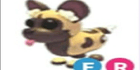 product-image-0