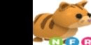 Gambar Product Ginger Cat - NFR