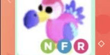Gambar Product Neon (Fly Ride) DODO - Adopt Me Pets