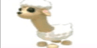 product-image-0
