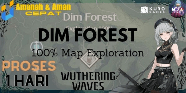 Gambar Product Dim Forest Exploration