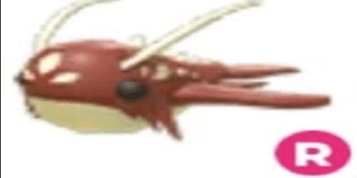 product-image-0