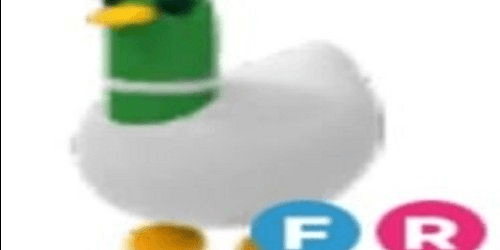 Gambar Product SILLY DUCK FR - ADOPT ME