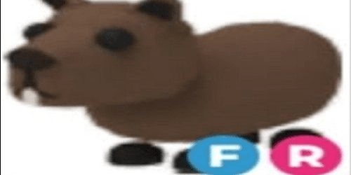 product-image-0