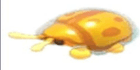 product-image-0